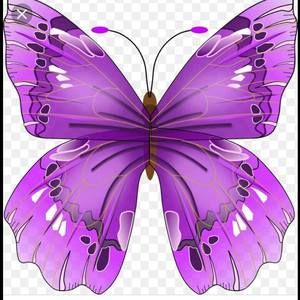 Meet your Posher, Isabel